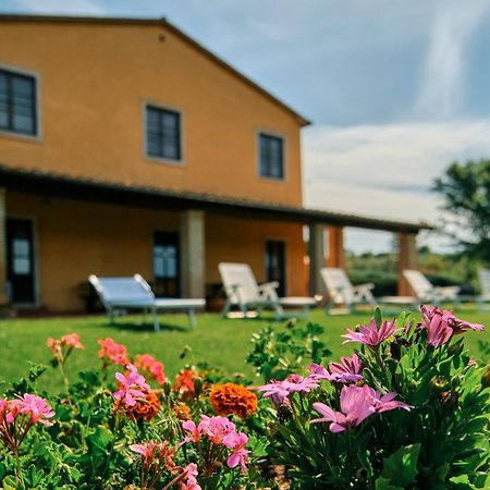8380 Agriturismo Il Saragiolo มันชาโน ภายนอก รูปภาพ
