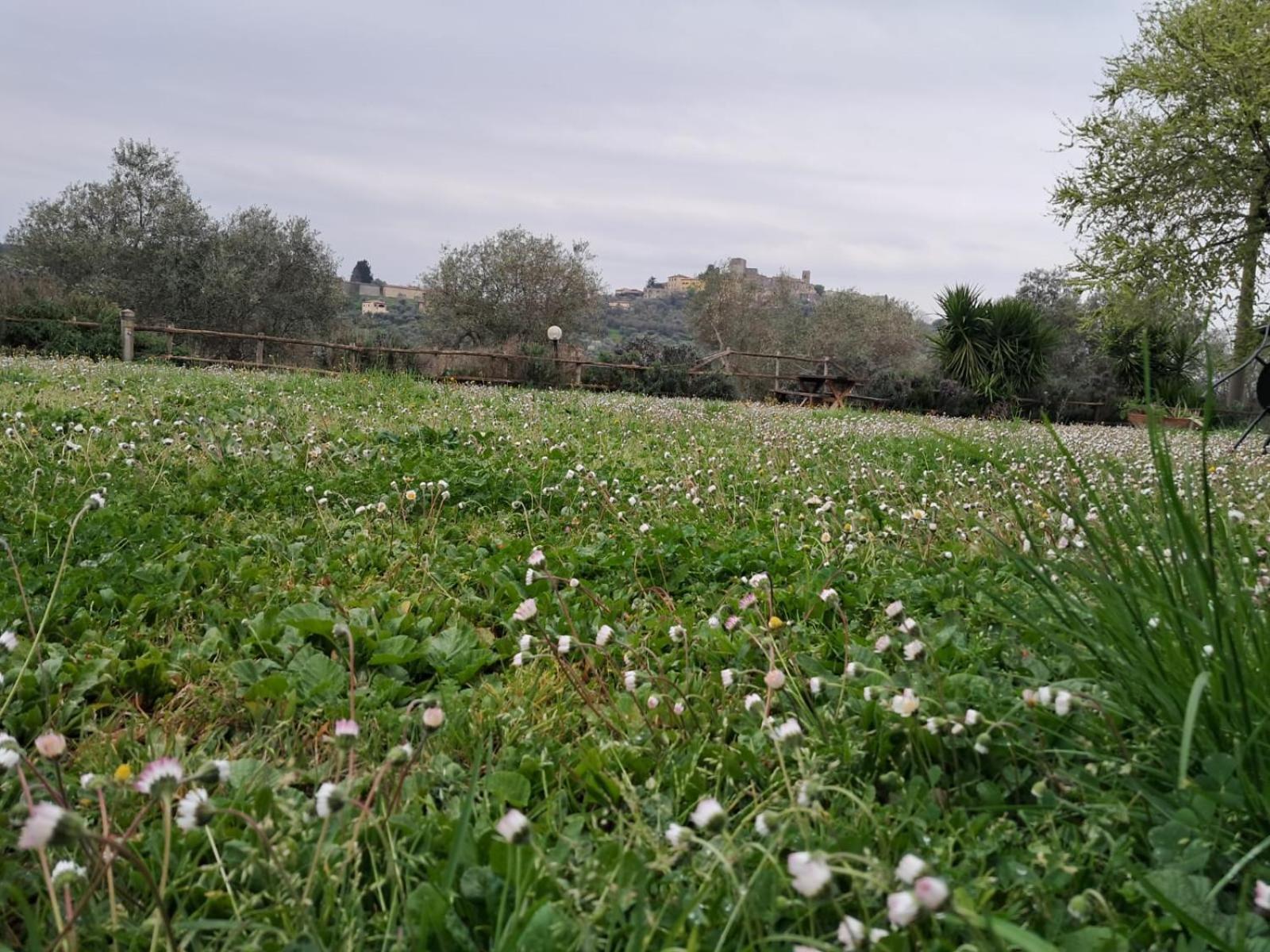 8380 Agriturismo Il Saragiolo มันชาโน ภายนอก รูปภาพ